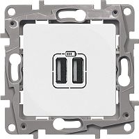Розетка USB тип A+A без рамки Legrand Etika 2-м. 2400мА белый картинка